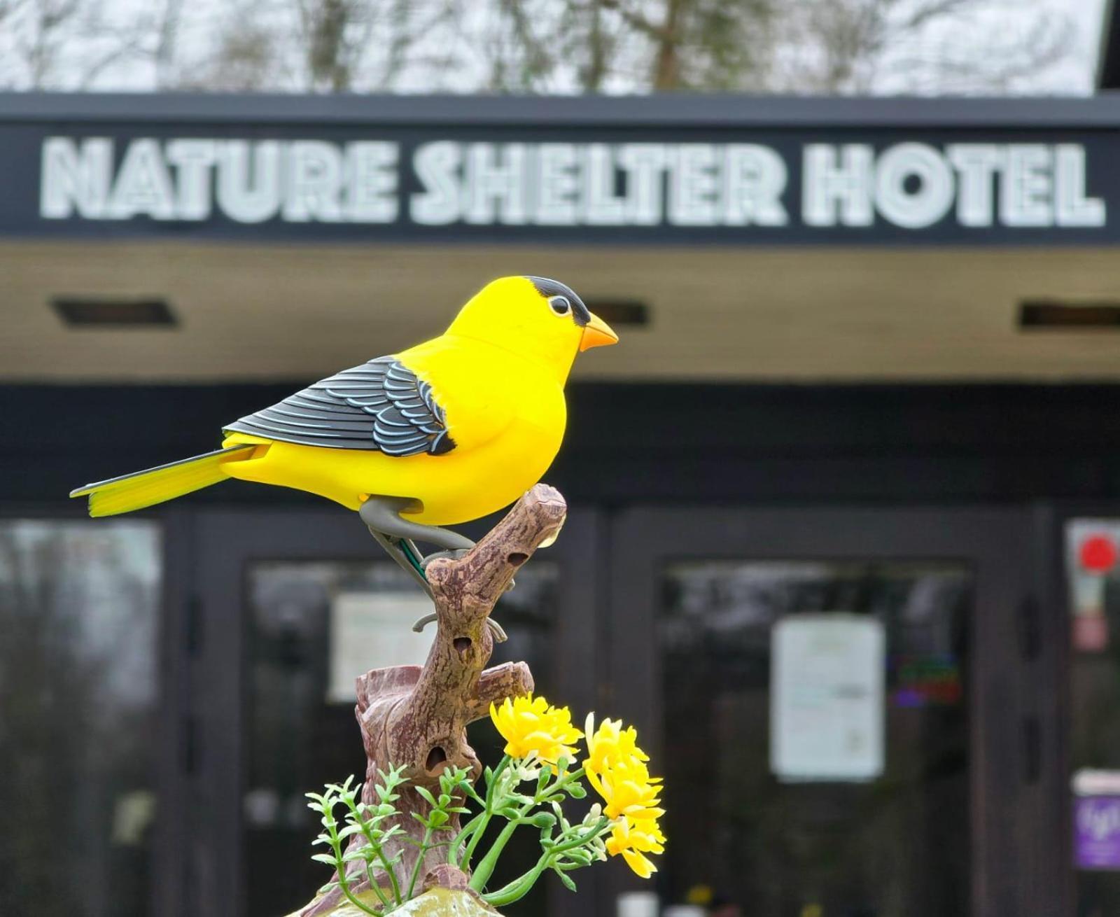 Nature Shelter Hotel Åsljunga Eksteriør bilde